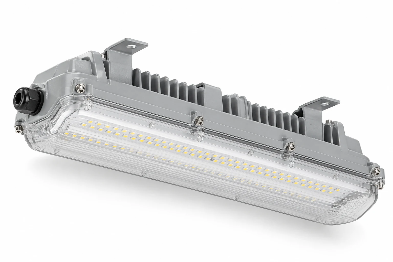 Industrial luminaires and emergency lighting product illustration