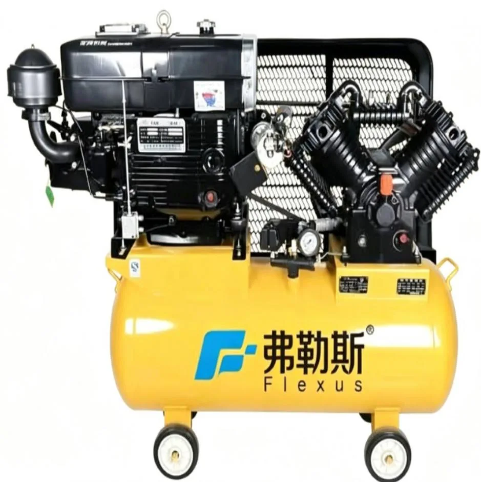 Diesel Piston Air Compressor 1.05/16 — product image