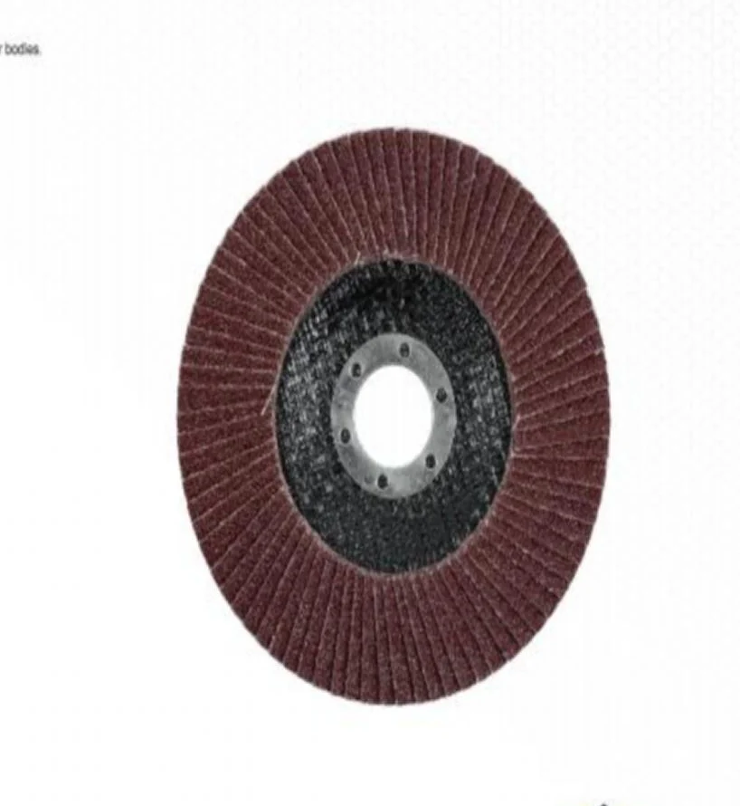 YIAD Flat Flap Disc 125 mm P60 — product image